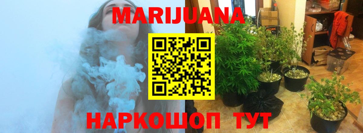 Бошки марихуана конопля Торжок